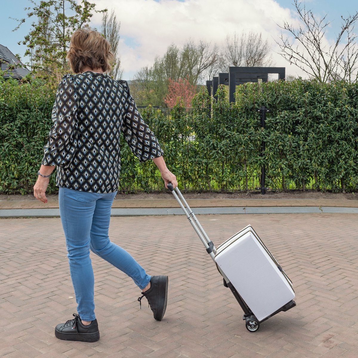 Nancy's Universele trolley Compacte steekwagen met telescopisch handvat