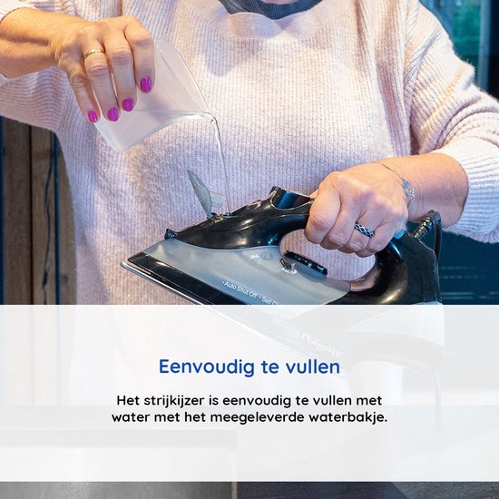 Registry Stoomstrijkijzer - Stoomapparaat - Geschikt voor Droogstrijken/Stoomstrijken - 1800 W - RVS