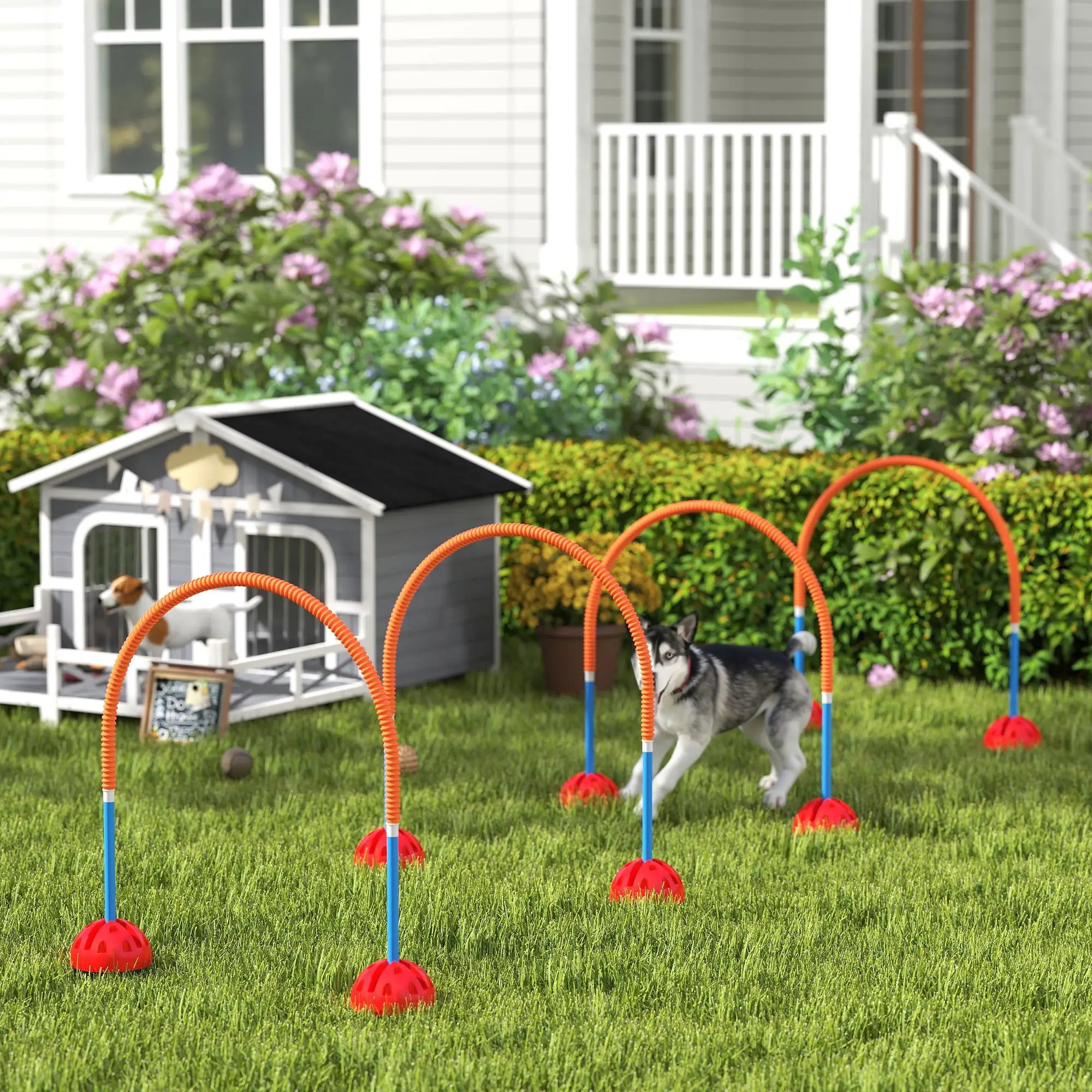 Nancy's Colfiorito Agility training Honden Trainingsset - Hondenparcours - Behendigheidsset - Trainingparcours - Blauw / Oranje