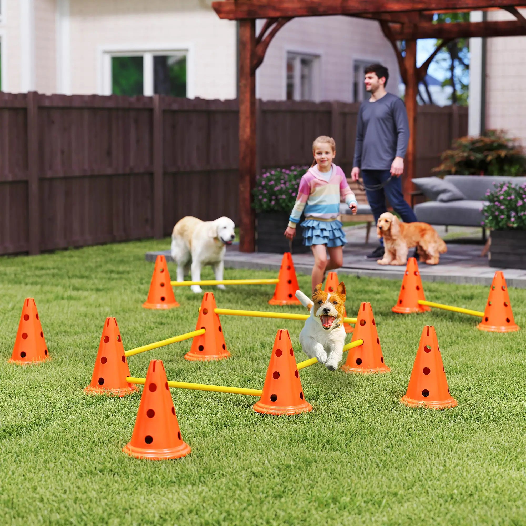 Nancy's Coli Honden Agility training Trainingsset - Behendigheidsset - Honden Parcours - Oranje / Geel