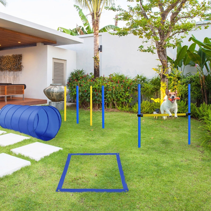 Nancy's Arrow Bay Agility training Trainingsmateriaal voor hondenbehendigheid, behendigheidsparcours voor honden, behendigheidsuitrusting voor honden