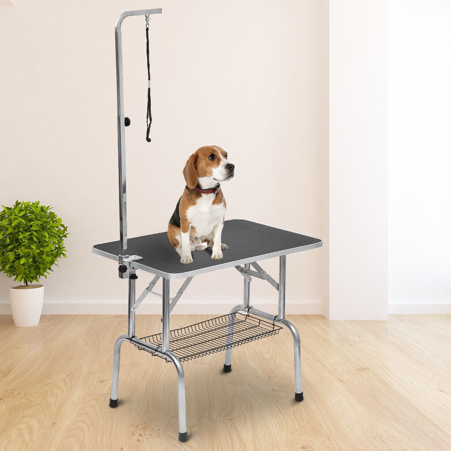 Nancy's The Hill Table de toilettage, Table de rasage, Table de toilettage pour chien pliable en hauteur réglable en acier inoxydable