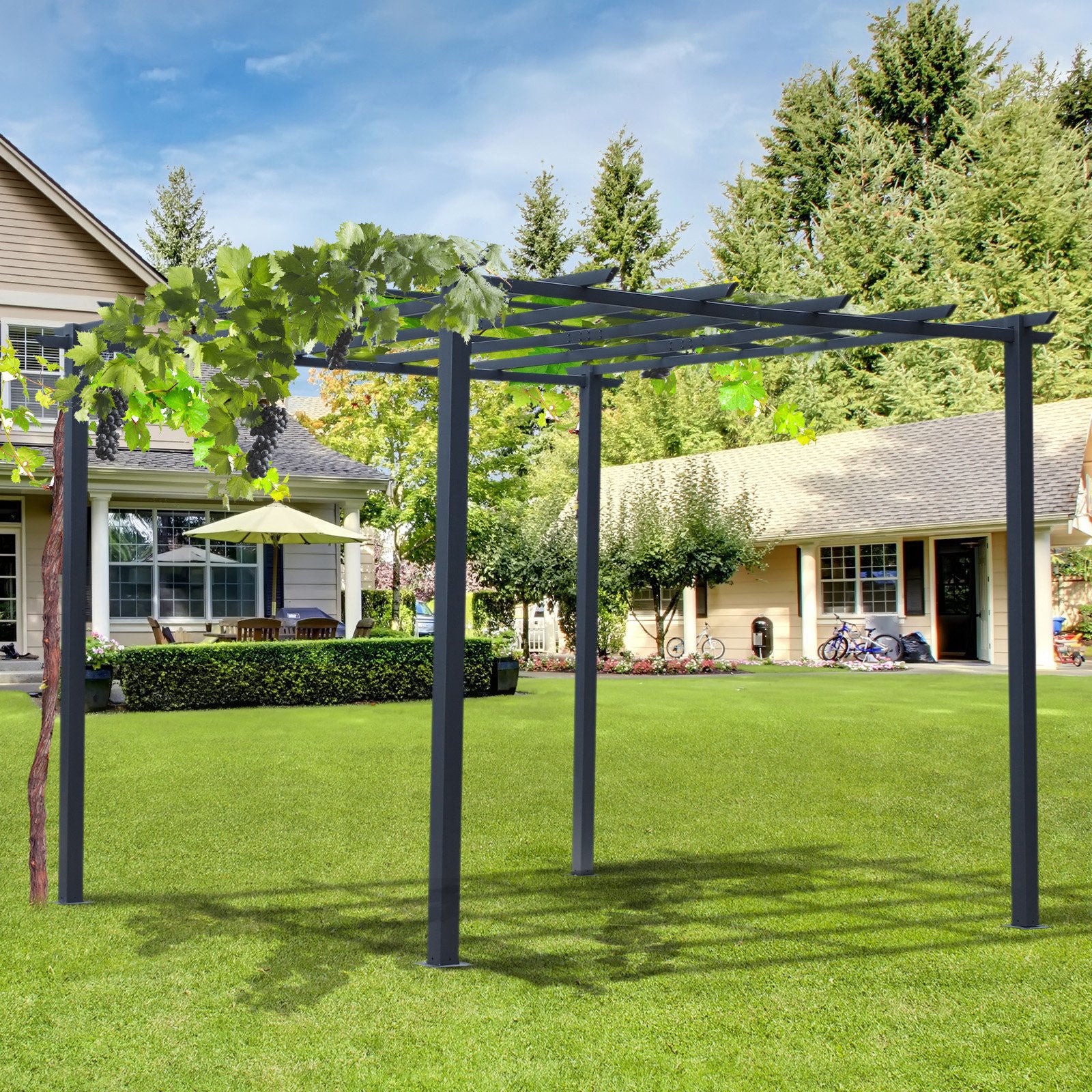 Nancy's Laguna Rose Rozenpaviljoen - Pergola - Overkapping - Plantentralie - Prieel - Zwart - ± 300 x 300 cm