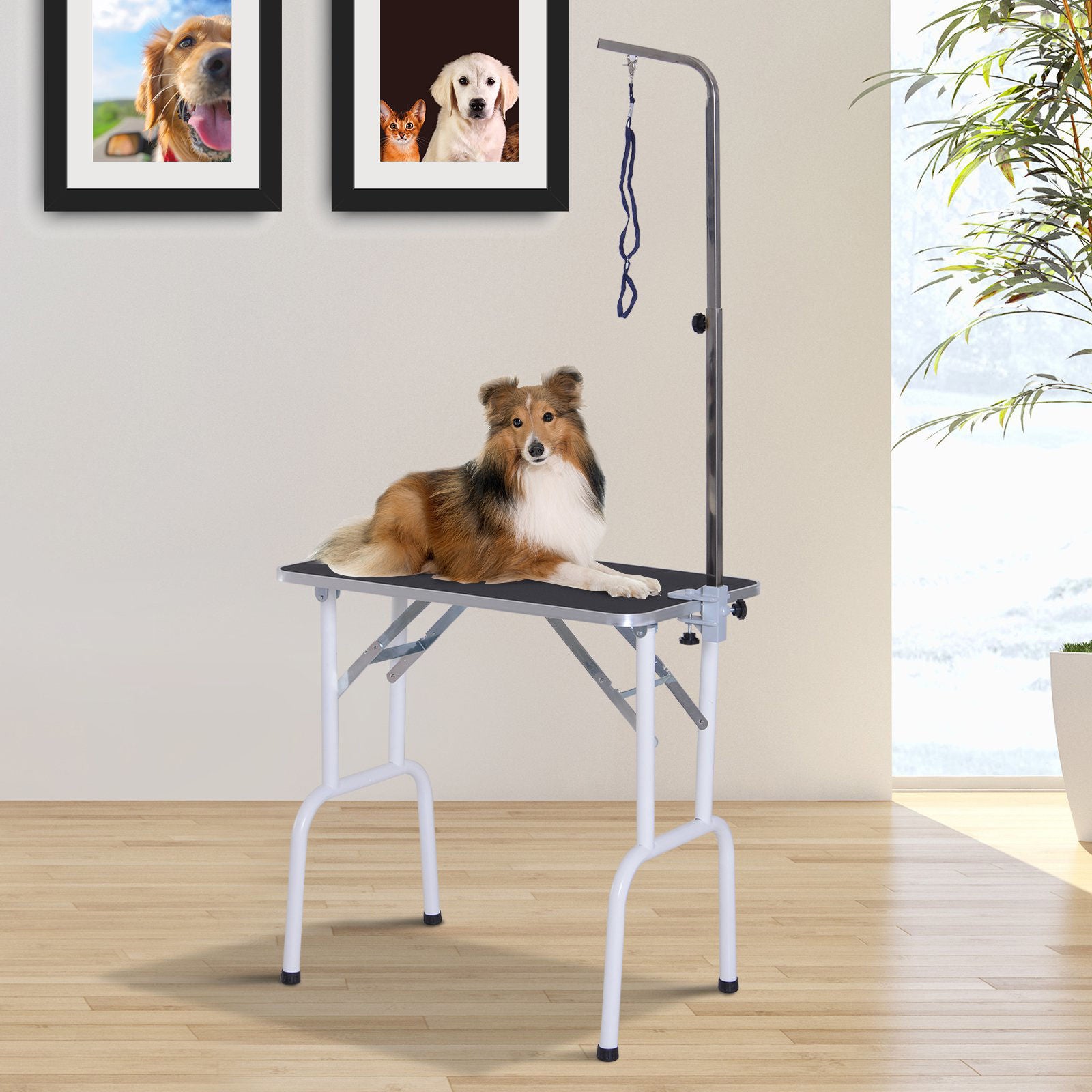 Table de toilettage Nancy's San Luis, table de toilettage pliable pour animaux de compagnie, table de rasage pour chiens et chats en métal noir