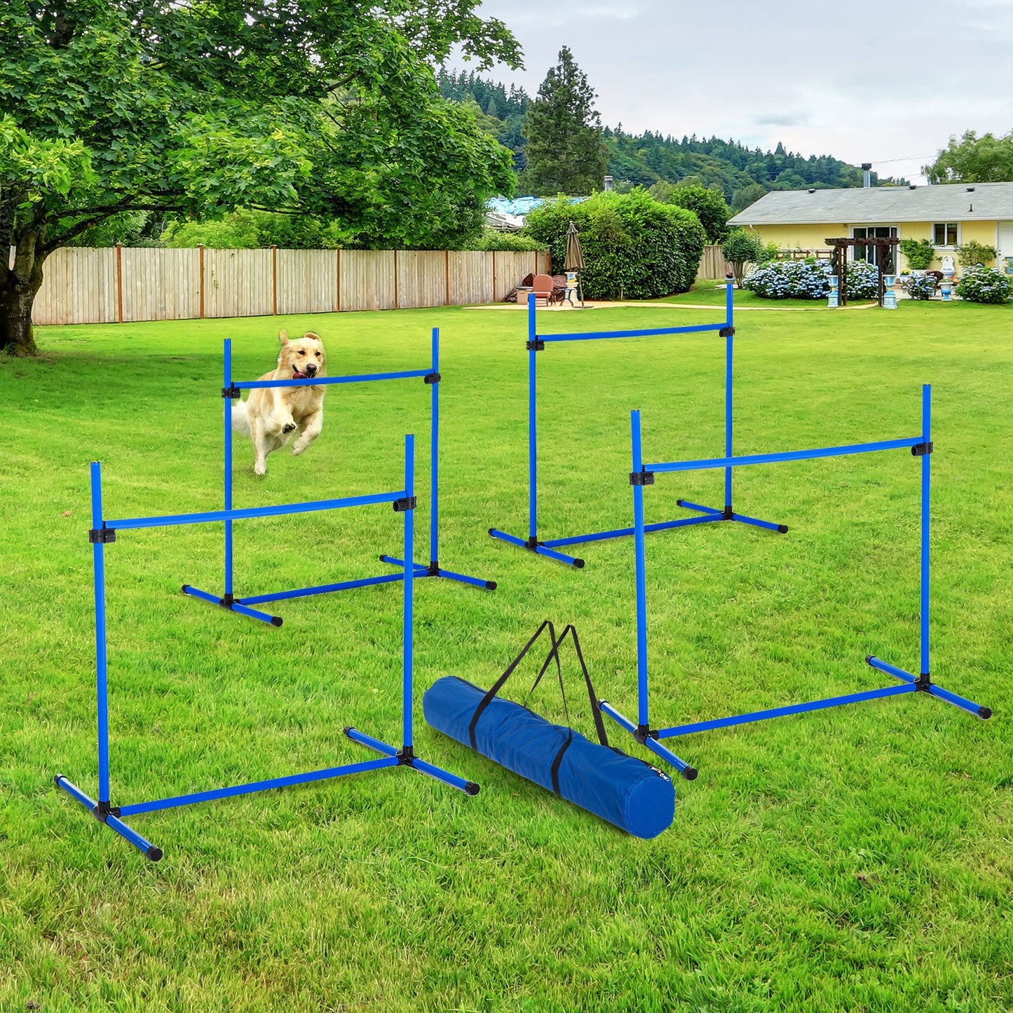 Nancy's Assef Behendigheidsset voor Honden - Honden Trainingsset - Behendigheidstraining - Blauw