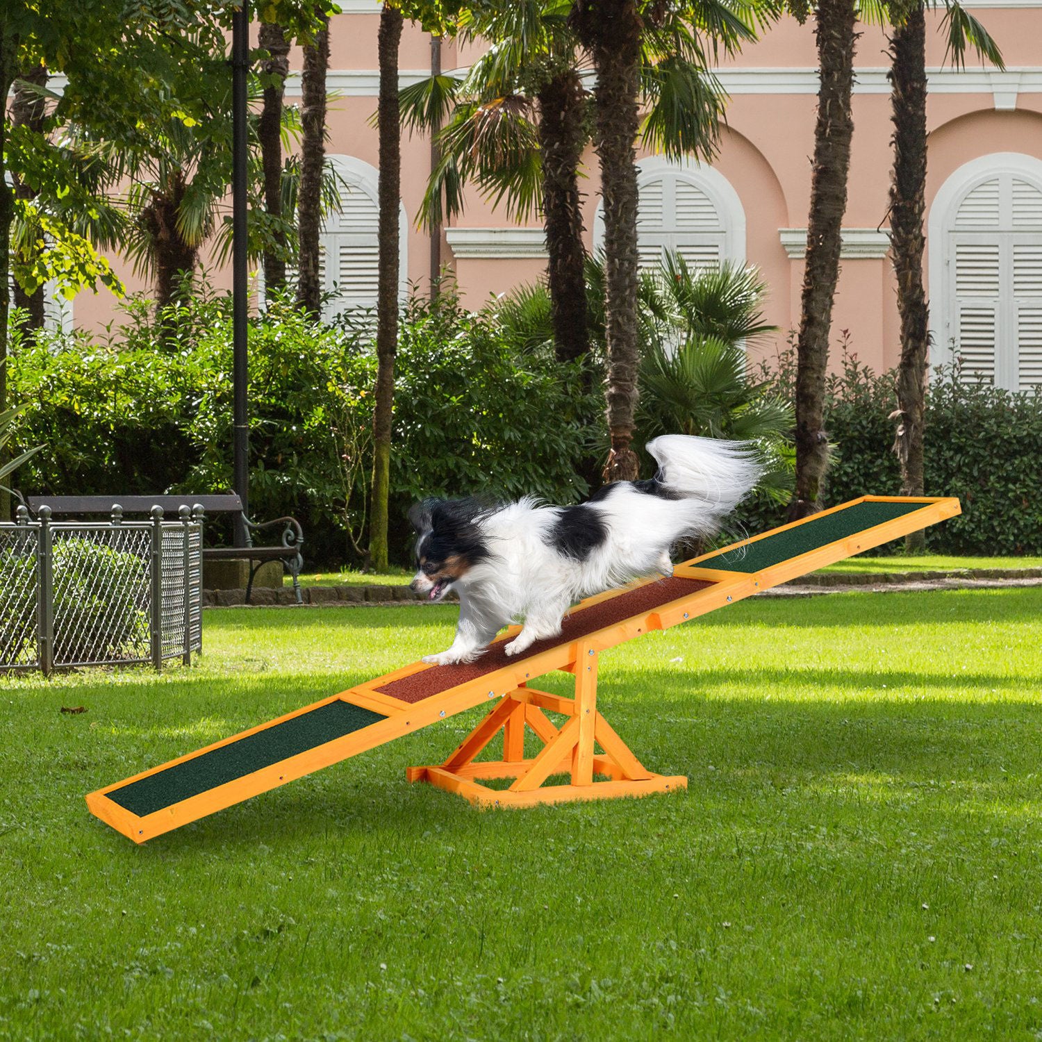 Nancy's Augustus Agility training Hondenwip - Behendigheidstraining voor Honden - Hondensport - Wip - Dennenhout