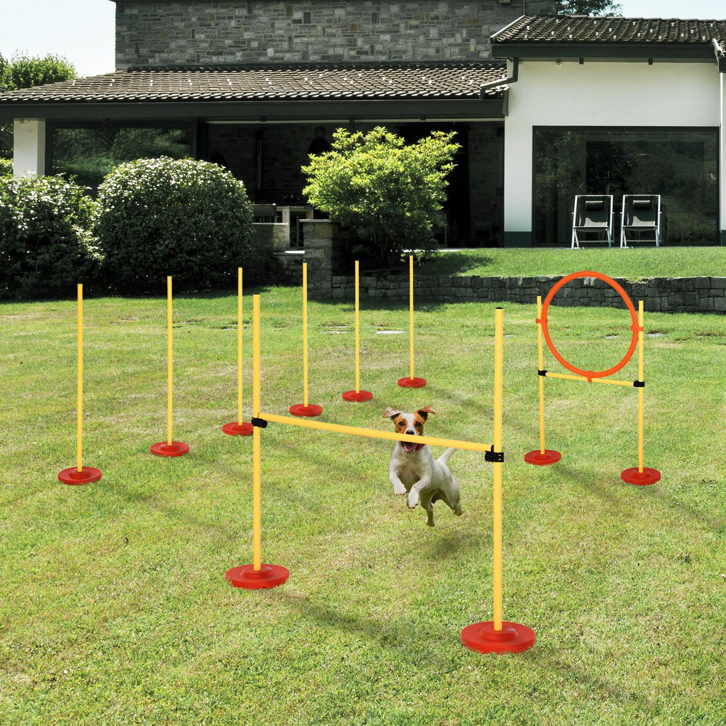 Nancy's Bab Creek Honden behendigheid set 3-in-1 training voor huisdieren, tas inbegrepen