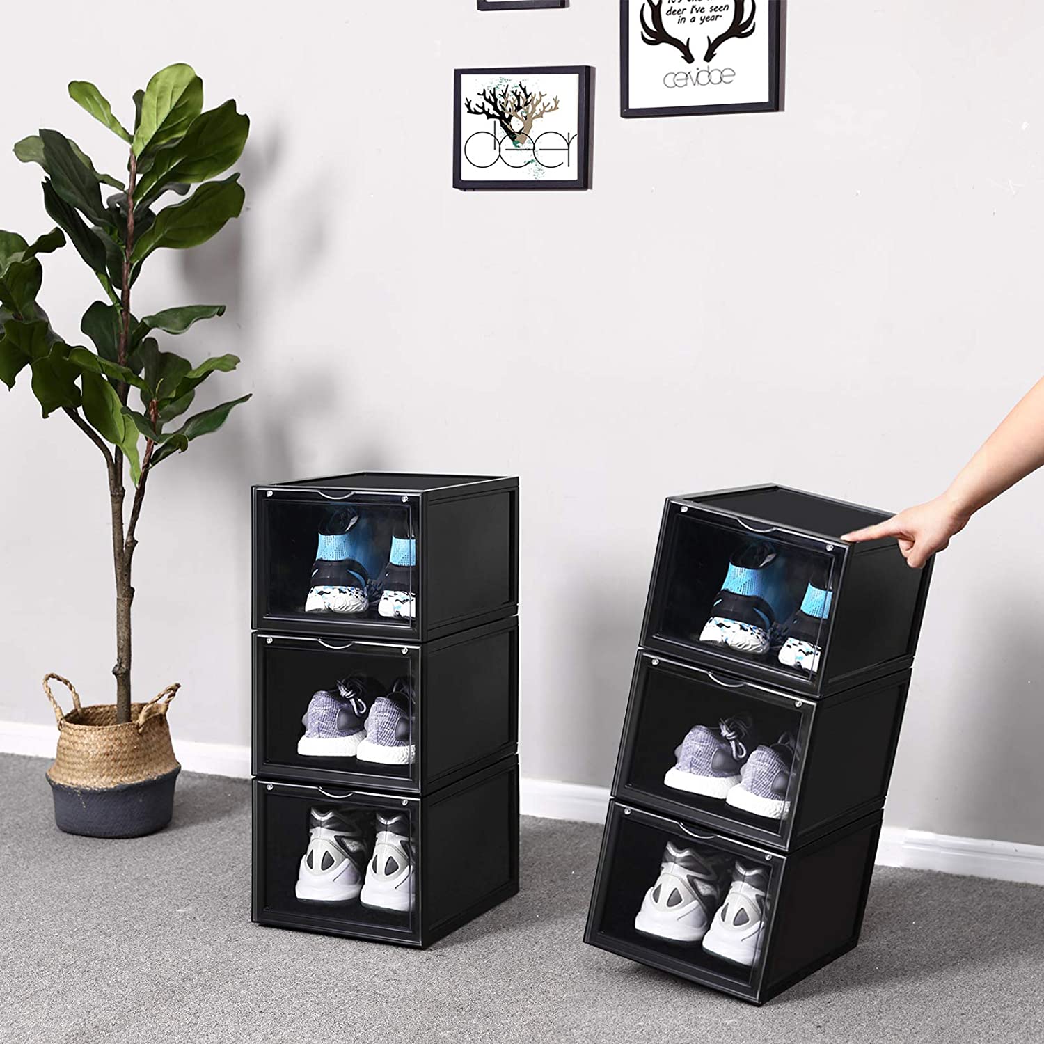 Nancy's Schoenendoos - Set van 3 - Stapelbare schoen organizer - Schoenenopslag - Voor schoenen tot maat 46 - Schoenendozen - 28 x 36 x 22 cm