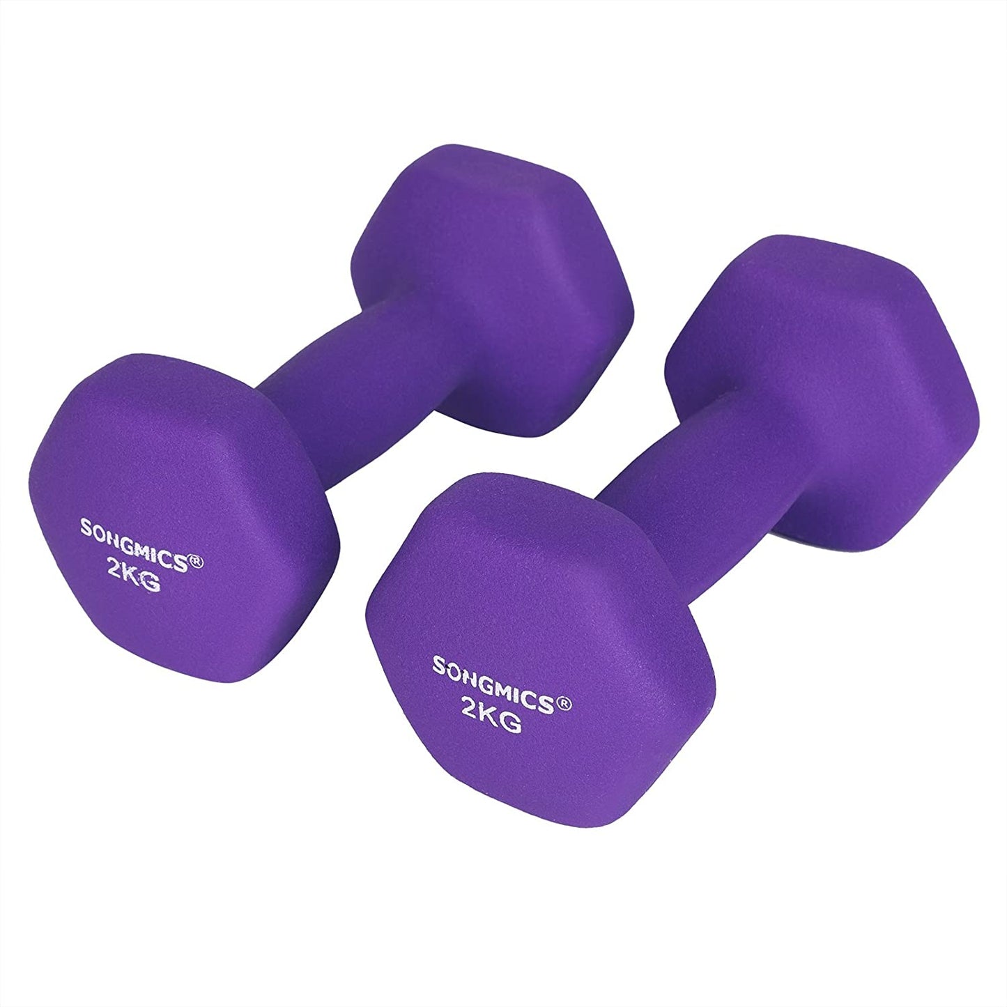 Nancy's Hybla Dumbbells - Halterset - Gewichten - Set van 2 - Paars - 2 KG per stuk