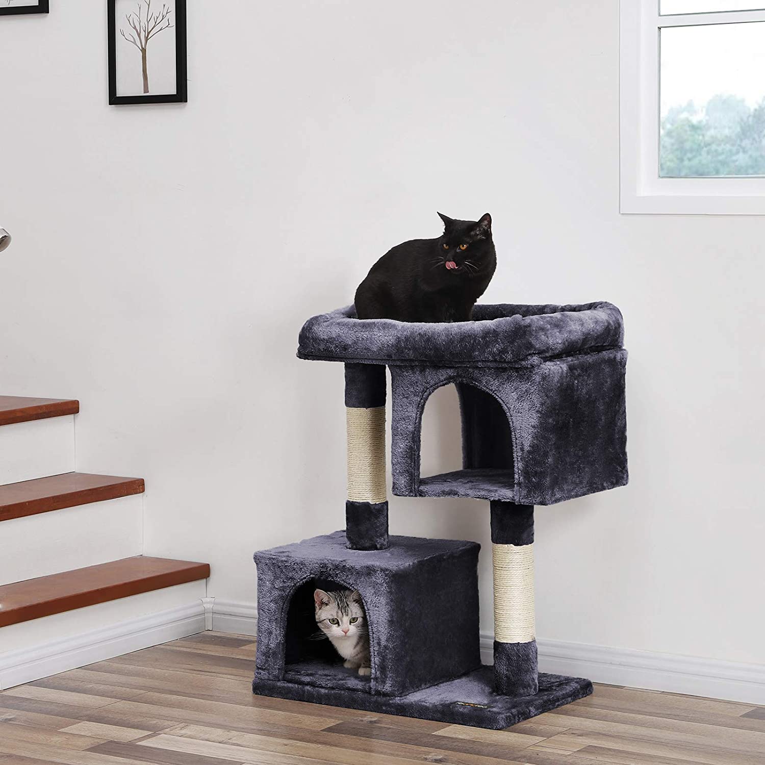Arbre à chat de Nancy pour chats gris foncé - Arbre à chat - Arbre à chat 84 cm de haut