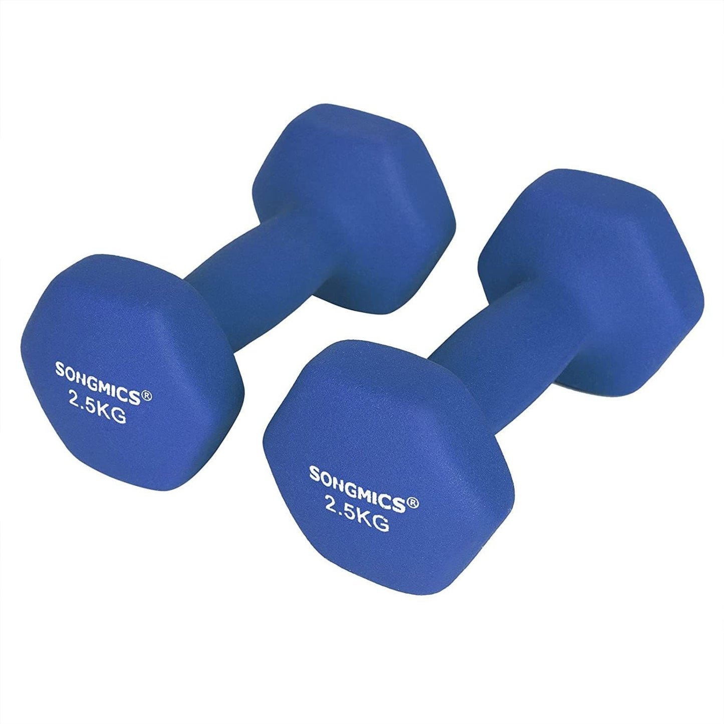 Nancy's Dumbbells Set - Halterset - Gewichten - Set van 2 - Blauw - 2.5 KG per stuk