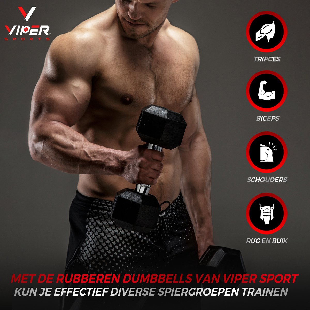 Viper Sports Iron Noir 22,5 kg Haltère 1 pièce