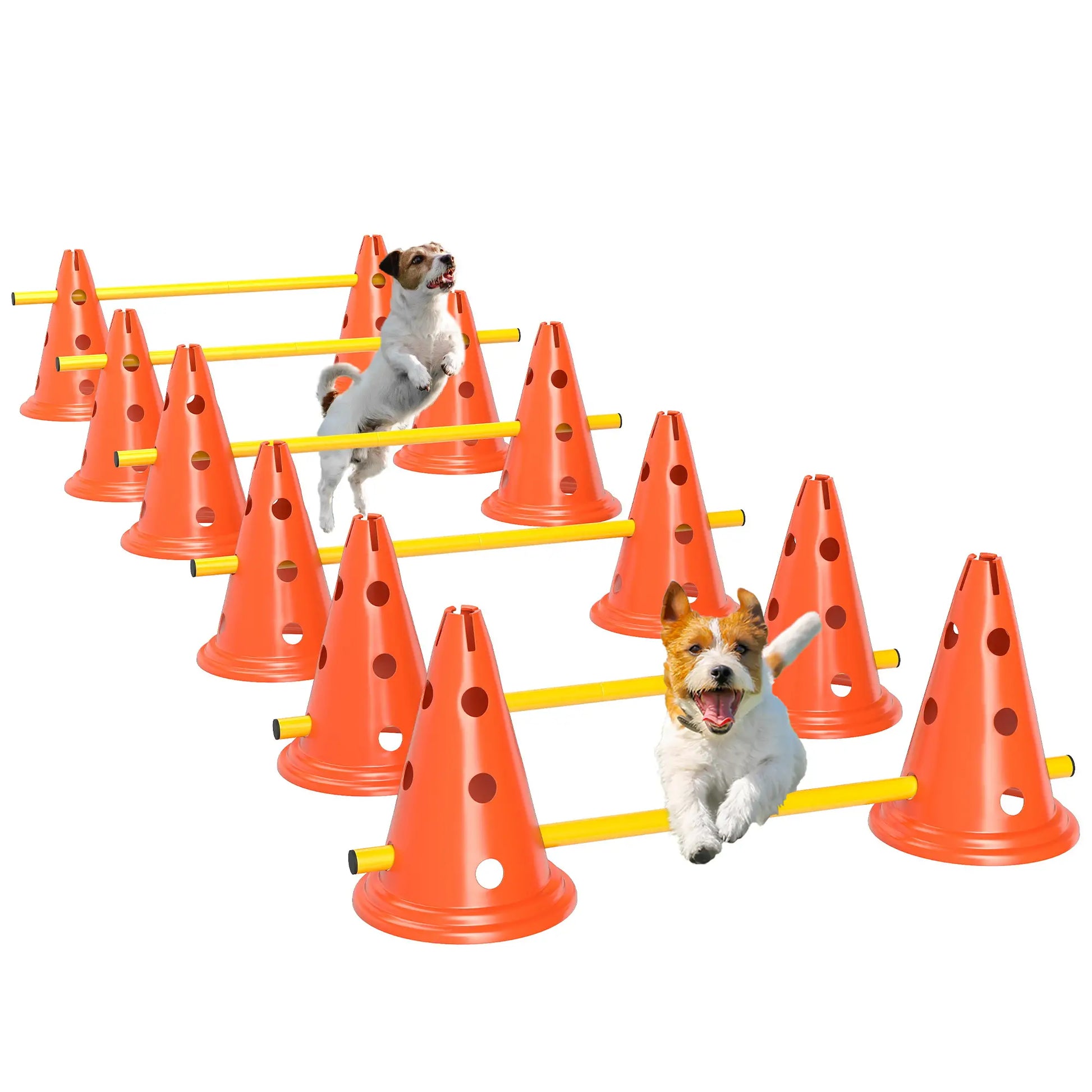 Nancy's Coli Honden Trainingsset - Behendigheidsset - Honden Parcours - Oranje / Geel