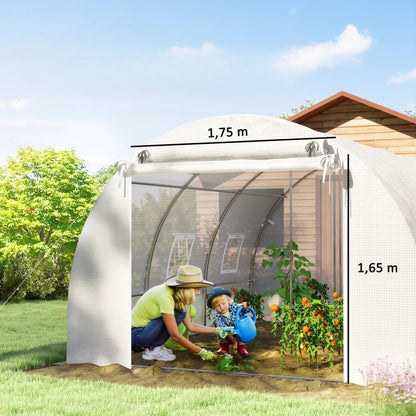 Nancy's Pennabilli Kweekkas - Foliekas - Tomatenkas - Tunnelkas - Wit / Zilver - ± 395 x 300 x 200 cm