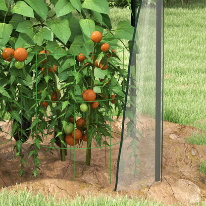 Nancy's Beiriz Kas voor Klimplanten - Plantenkas - Kweekkas - Tuinkas - Transparant - 90 x 90 x 145 cm