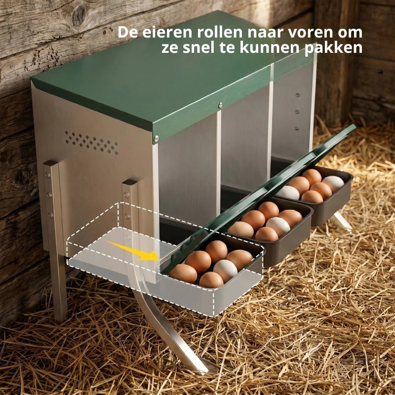 Nancy's Somaglia Kippennesten - Kippenhok - Legnesten - Zilver / Groen - ± 85 x 55 x 60 cm