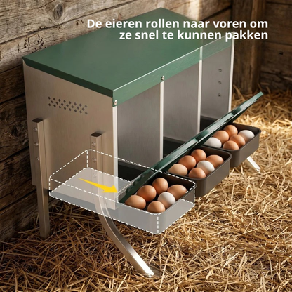 Nancy's Somaglia Kippennesten - Kippenhok - Legnesten - Zilver / Groen - ± 85 x 55 x 60 cm