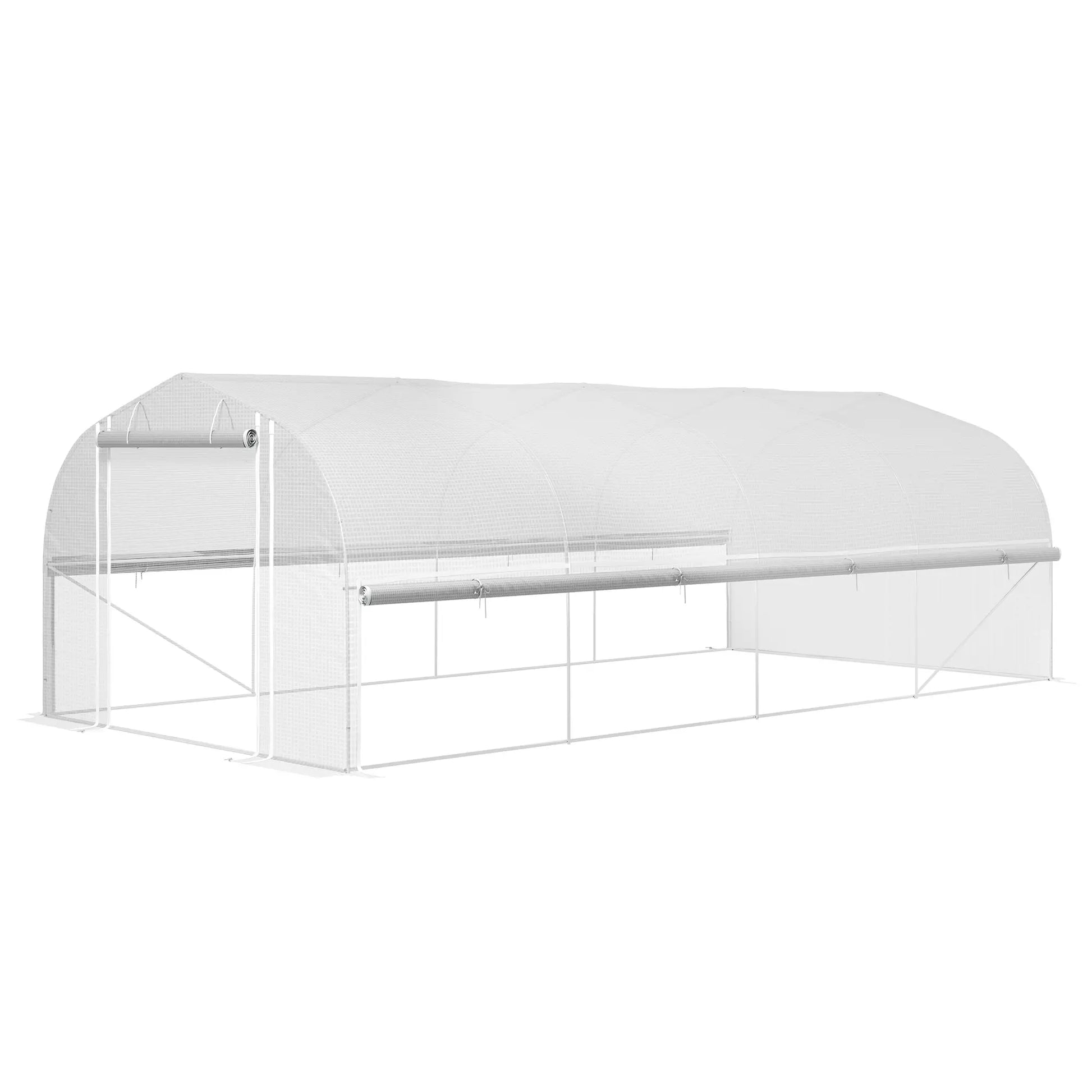 Nancy's Antas Kweekkas - Tuinkas - Plantenkas - Foliekas - Wit - ± 600 x 300 x 200 cm
