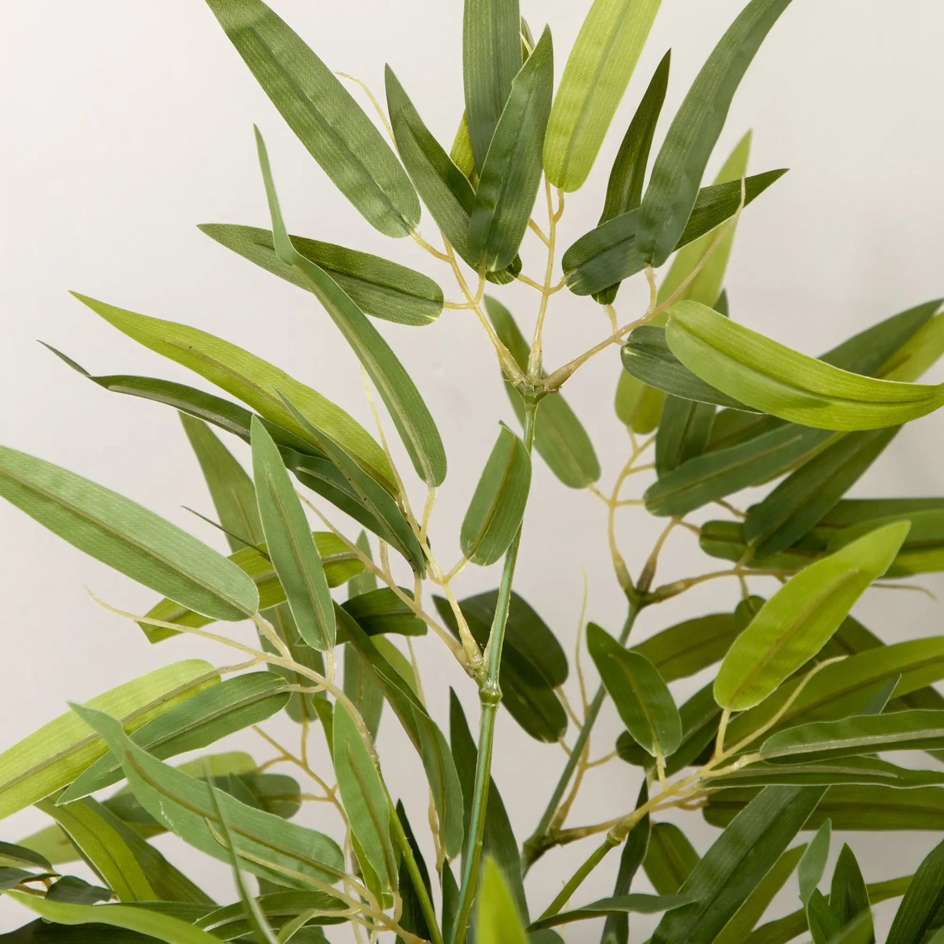 Nancy's Fiumalbo Kunstplant - Kunstboom - Kunst Bamboe - Groen - 90 cm hoog