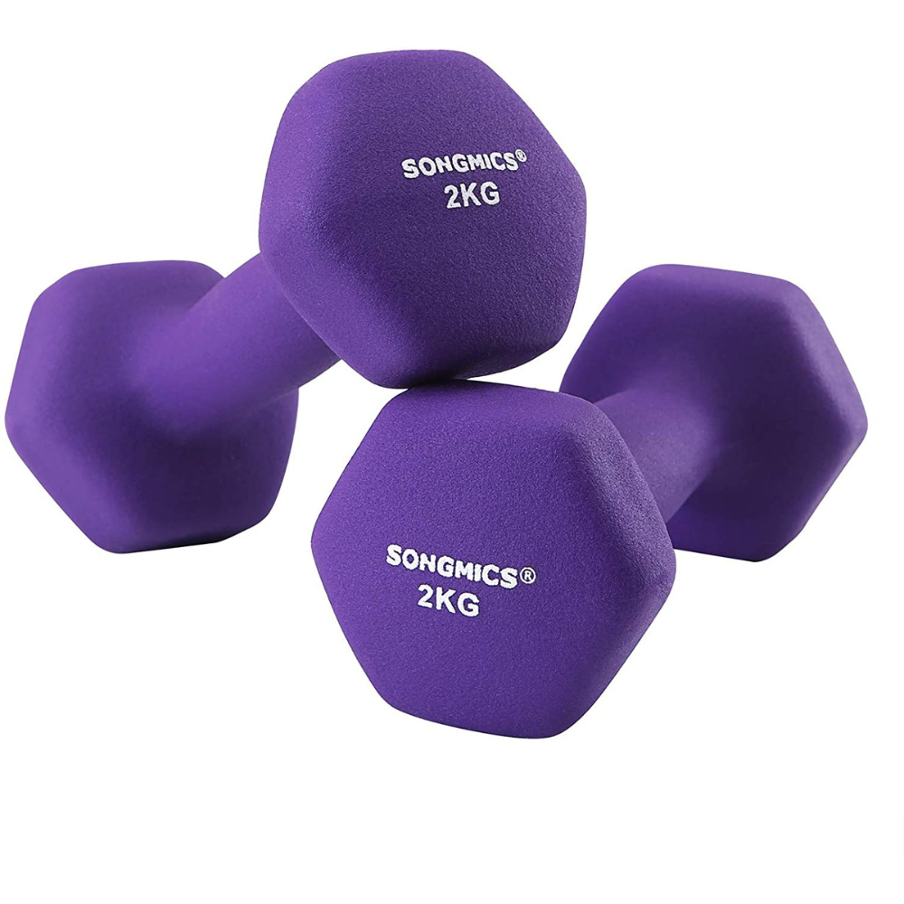 Nancy's Hybla Dumbbells - Halterset - Gewichten - Set van 2 - Paars - 2 KG per stuk
