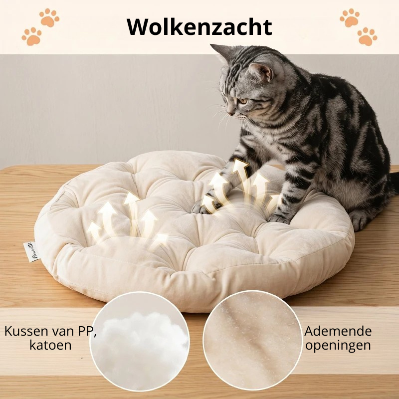 Nancy's Tarquinia Kattenmand - Kattenbed - Afneembaar kussen - Rotan - 50 x 50 x 25 cm