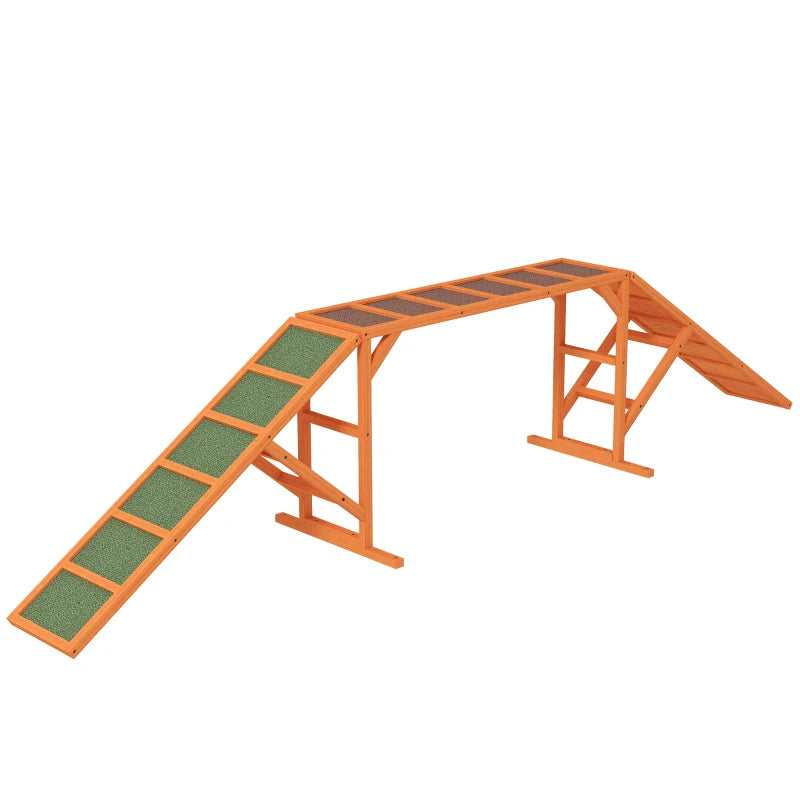 Nancy's Canelas Behendigheidshindernis - Hondenhelling - Parcours - Antislip - Weerbestendig - Dennenhout