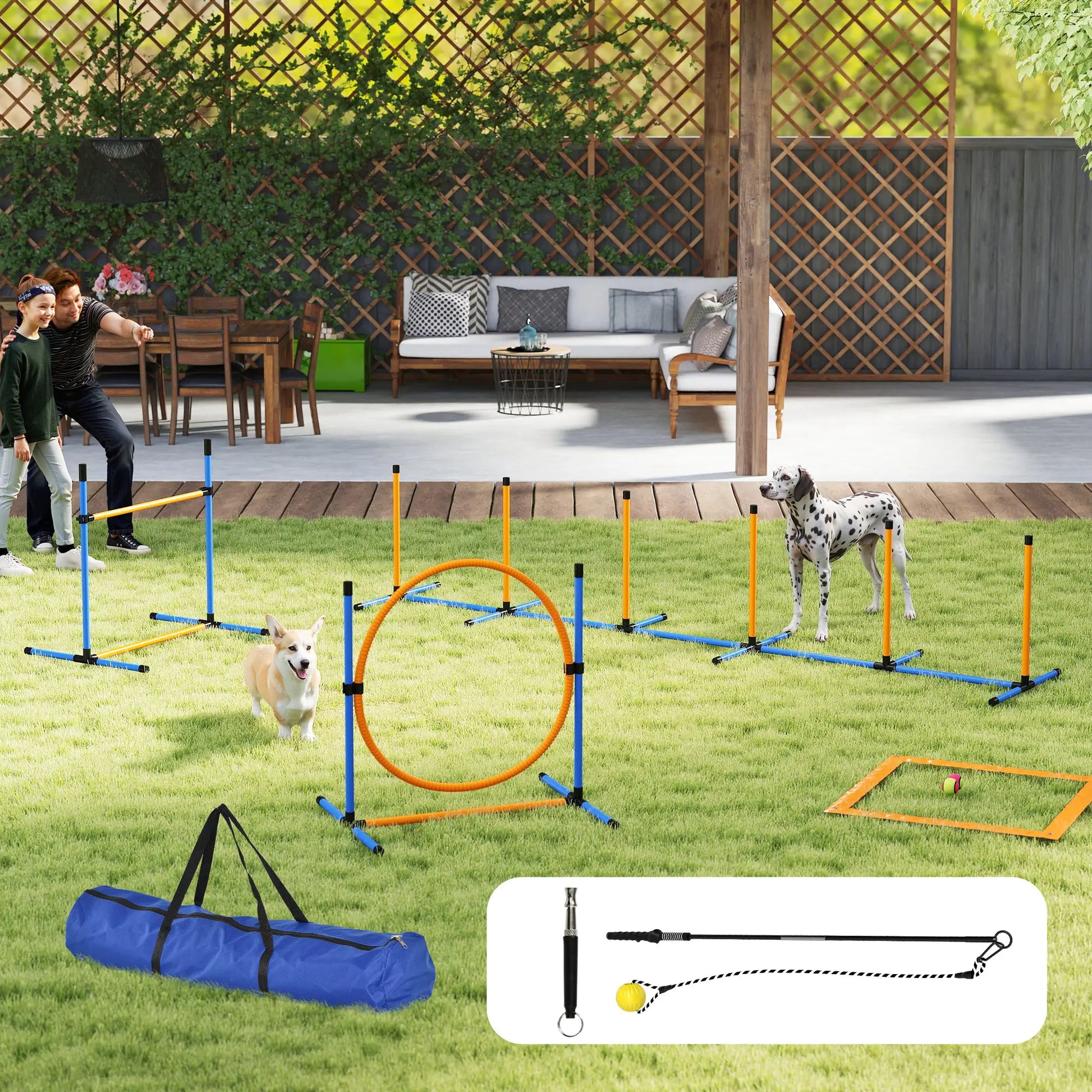 Nancy's Colere Honden Trainingsset - Behendigheidsset - Hondentraining - Oranje / Blauw
