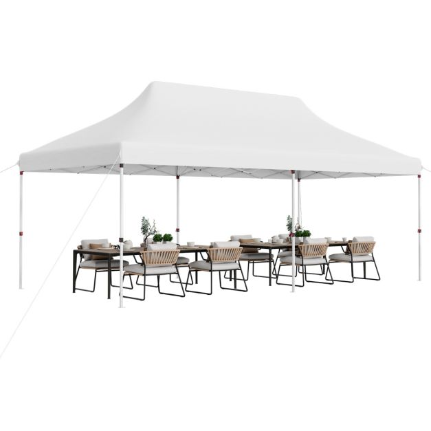 Nancy's Assentis Partytent - Paviljoen - Wit - 300 x 600 cm