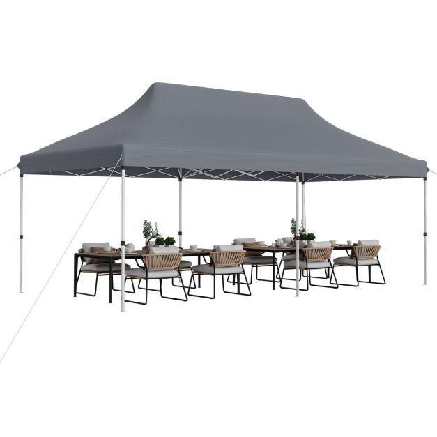 Nancy's Assentis Partytent - Paviljoen - Grijs - 300 x 600 cm