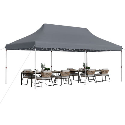 Nancy's Assentis Partytent - Paviljoen - Grijs - 300 x 600 cm