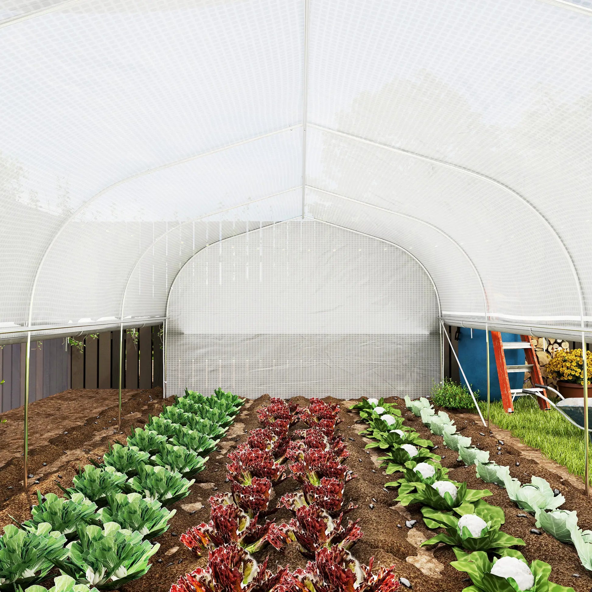 Nancy's Antas Kweekkas - Tuinkas - Plantenkas - Foliekas - Wit - ± 600 x 300 x 200 cm