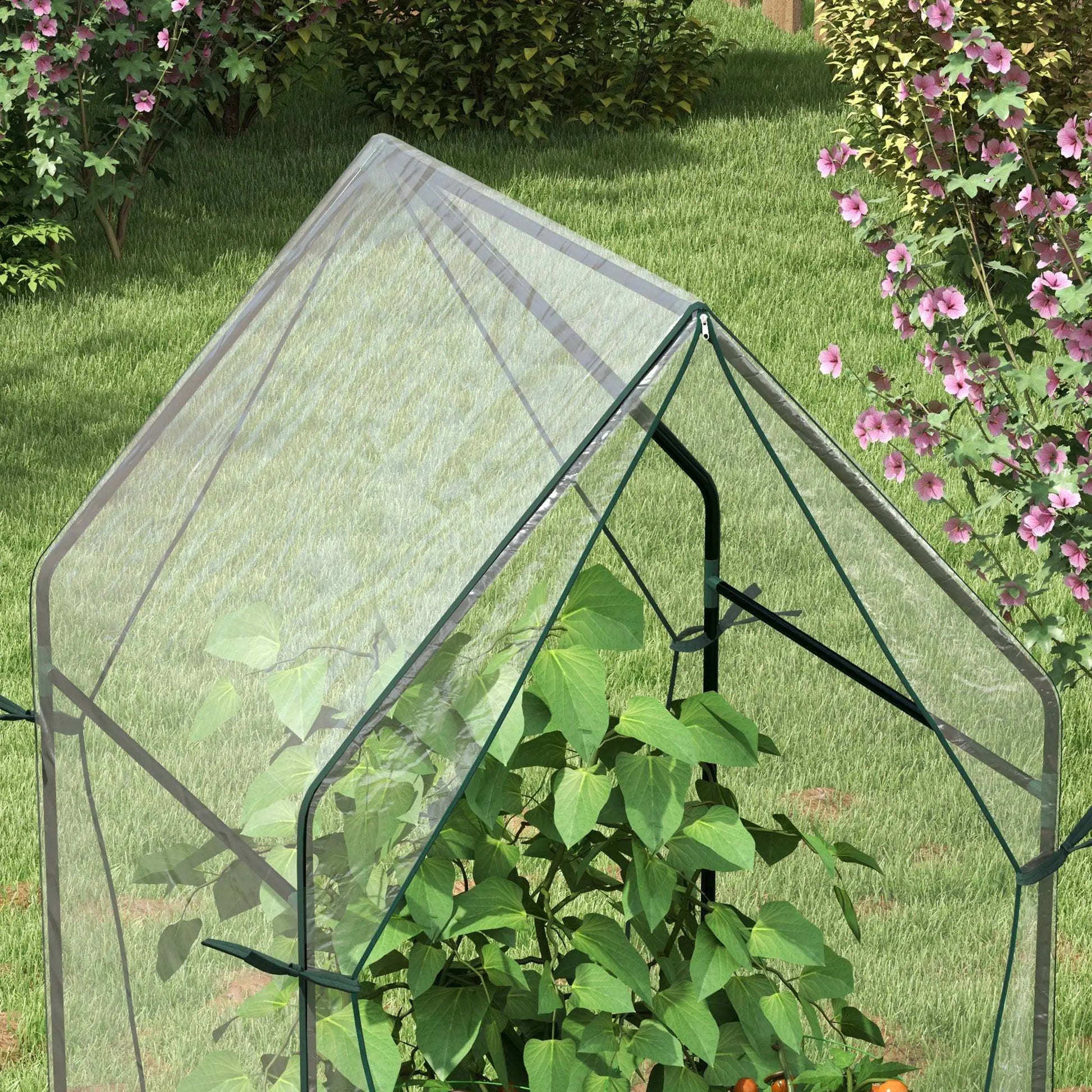 Nancy's Beiriz Kas voor Klimplanten - Plantenkas - Kweekkas - Tuinkas - Transparant - 90 x 90 x 145 cm