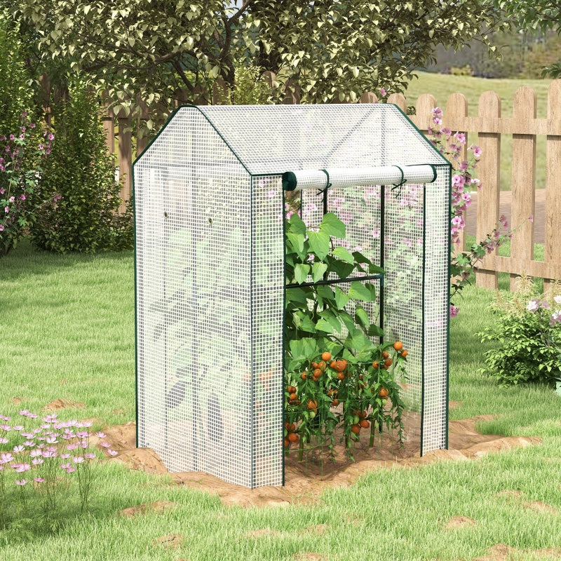 Nancy's Heathfield Garden Greenhouse - Plant greenhouse - Grow greenhouse - 100 x 80 x 150 cm