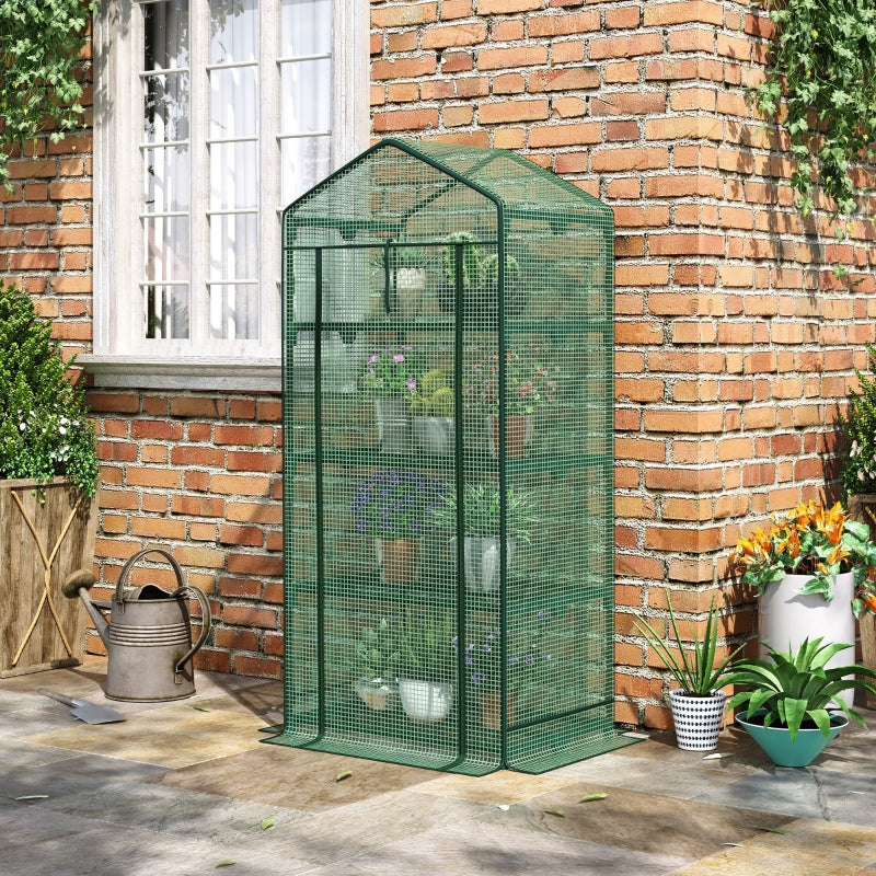 Nancy's Ealing Garden Greenhouse - Growing Greenhouse - Plant Greenhouse - ± 70 x 50 x 160 cm