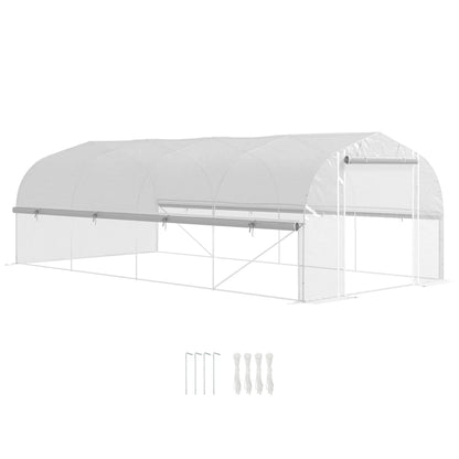 Nancy's Antas Kweekkas - Tuinkas - Plantenkas - Foliekas - Wit - ± 600 x 300 x 200 cm