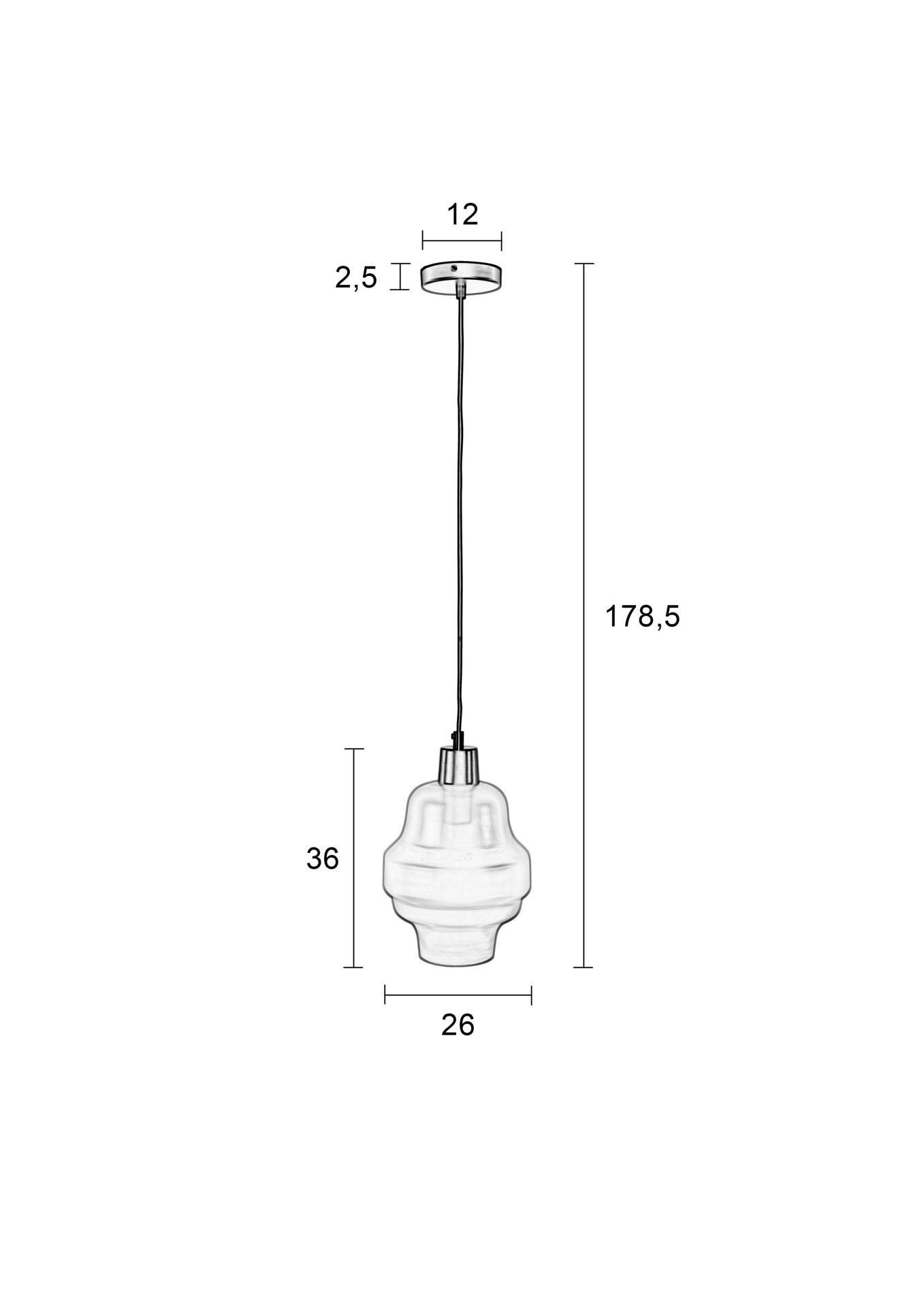 Nancy's Schiller Park Hanglamp - Modern - Antraciet, Zilver - Glas, Zink, IJzer - 26 cm x 26 cm x 178,5 cm