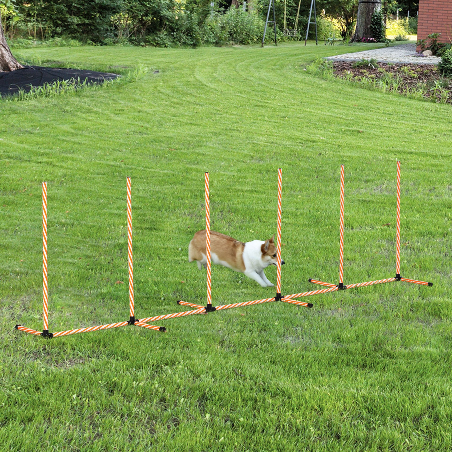 Nancy's Advance Dog Agility Set Training - Oranje, Wit - Pe, Pvc, Abs - 129,13 cm x 26,37 cm x 36,61 cm