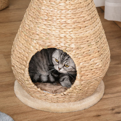 Griffoir Nancy's Agen Point Meuble pour chat avec grotte à chat Jouet boule Peluche sisal douce