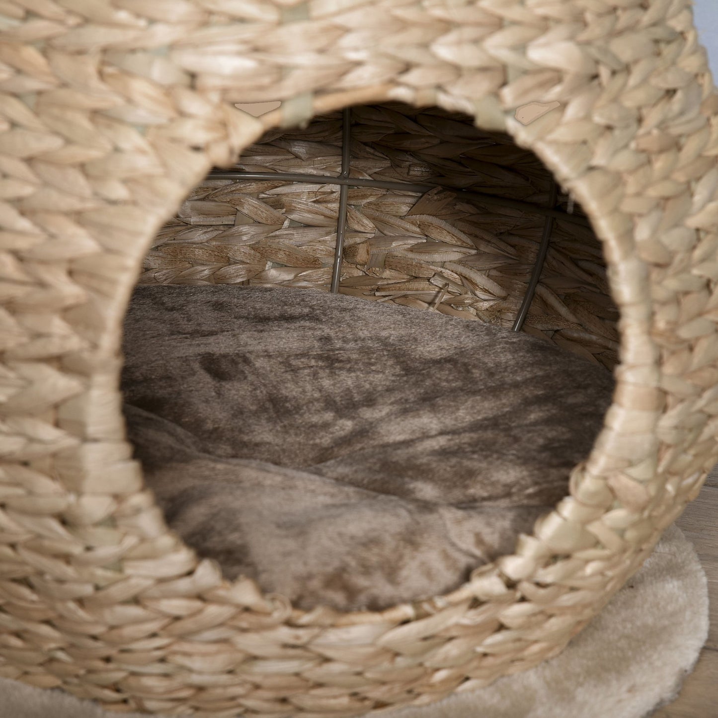 Nancy's Agen Point Scratching post Cat furniture with cat cave Ball toy Sisal soft plush