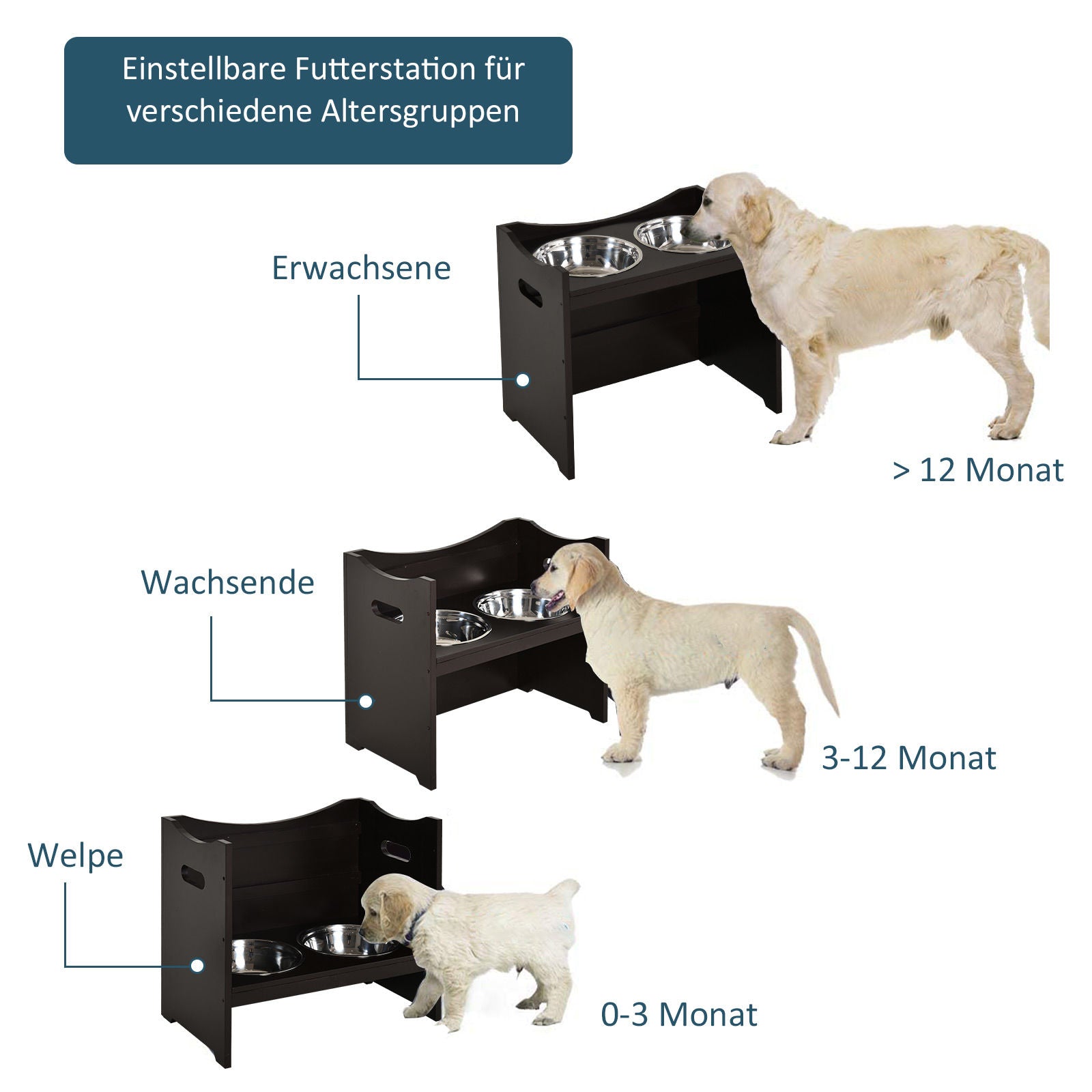 BELMIN Verhoogde Voerbak voor Honden – In Hoogte Verstelbare Hondenbak met Keramische Bakjes – Bamboe Standaard – Antislip Mat – Ideaal ook voor Katten BELMIN Verhoogde Voerbak voor Honden – In Hoogte Verstelbare Hondenbak met Keramische Bakjes – Bamboe Standaard – Antislip Mat – Ideaal ook voor Katten