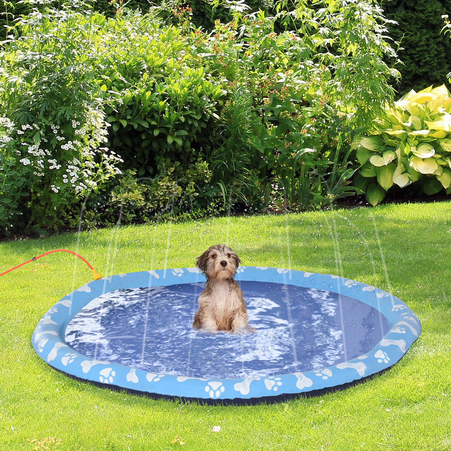 Piscine pour chiens Nancy's Aylesworth, pataugeoire, avec jet d'eau, ronde, antidérapante, bleue, Ø170 cm