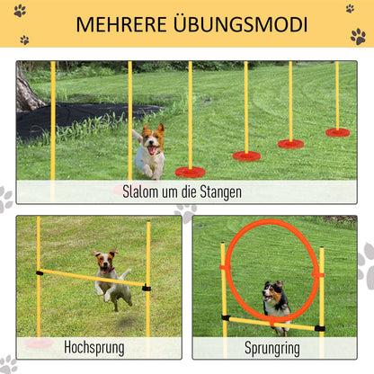 Nancy's Bab Creek Honden behendigheid set 3-in-1 training voor huisdieren, tas inbegrepen