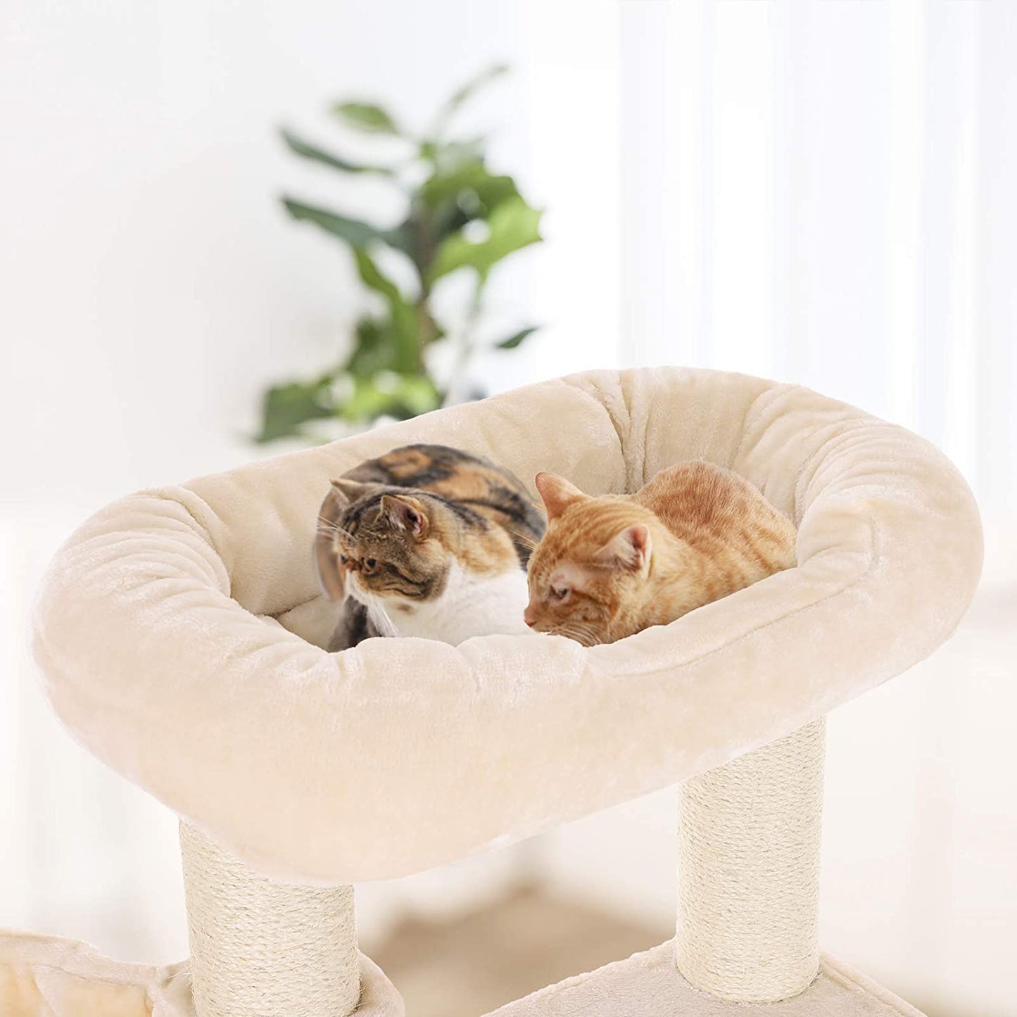 Arbre à chat de Nancy XL - Maison pour chat de luxe - Arbre à chat - Chats - Arbre à chat pour chat - 153 cm - Beige