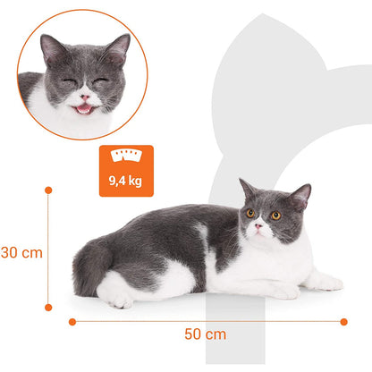 Arbre à chat de Nancy XL - Maison pour chat de luxe - Arbre à chat - Chats - Arbre à chat pour chat - 153 cm - Beige
