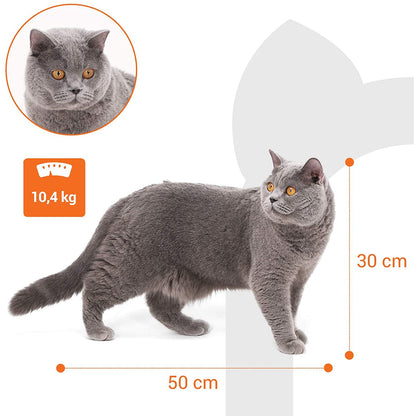 Arbre à chat de Nancy XL - Maison pour chat de luxe - Arbre à chat - Chats - Arbre à chat pour chat - 153 cm - Beige