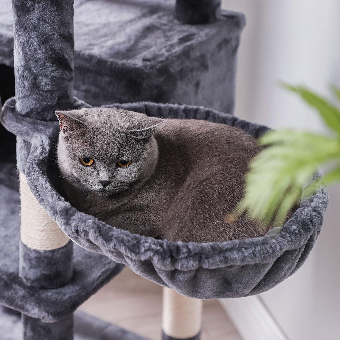 Nancy's Coppett Kattenboom - Krabpaal - 6 Niveaus - Hangmat - Grot - Rookgrijs - 54 x 50 x 168 cm