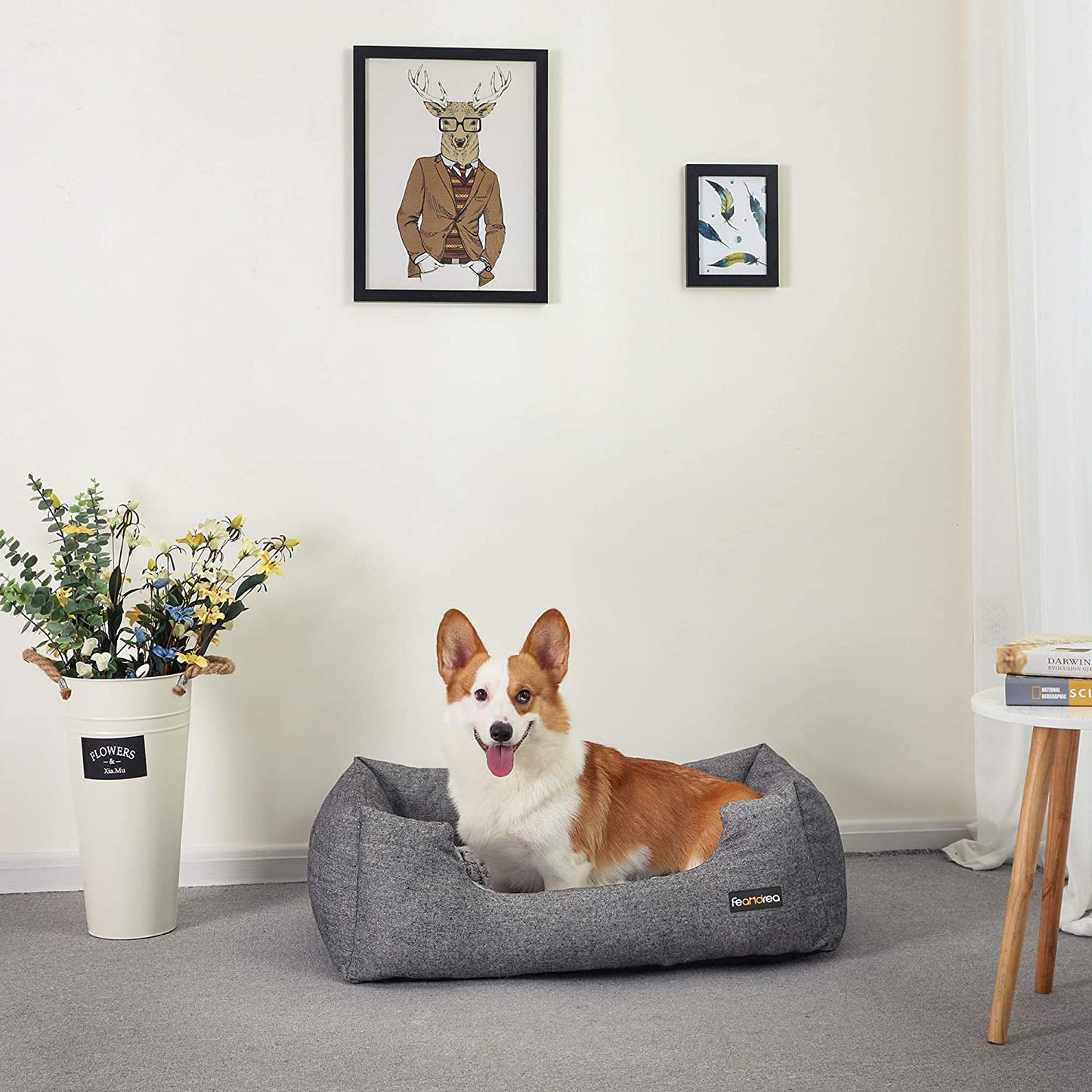 Nancy's Caverhill Dierenbed - Hondenbed - Hondenmand - Omkeerbaar Kussen - Antislip - Grijs -  80 x 60 x 26 cm