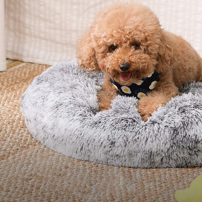 Nancy's Chaca Dog Bed - Cat Bed - Pet Bed - Gray - 60 x 20 cm