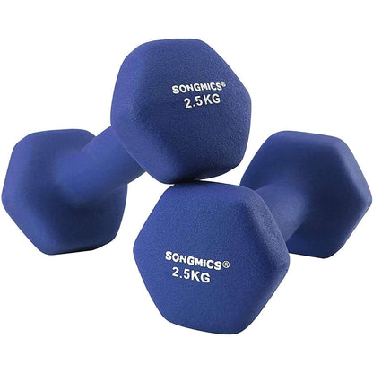 Nancy's Dumbbells Set - 2.5 kg per Dumbell - Blauwe Dumbells - Gewichten en Halters - 2 Stuks