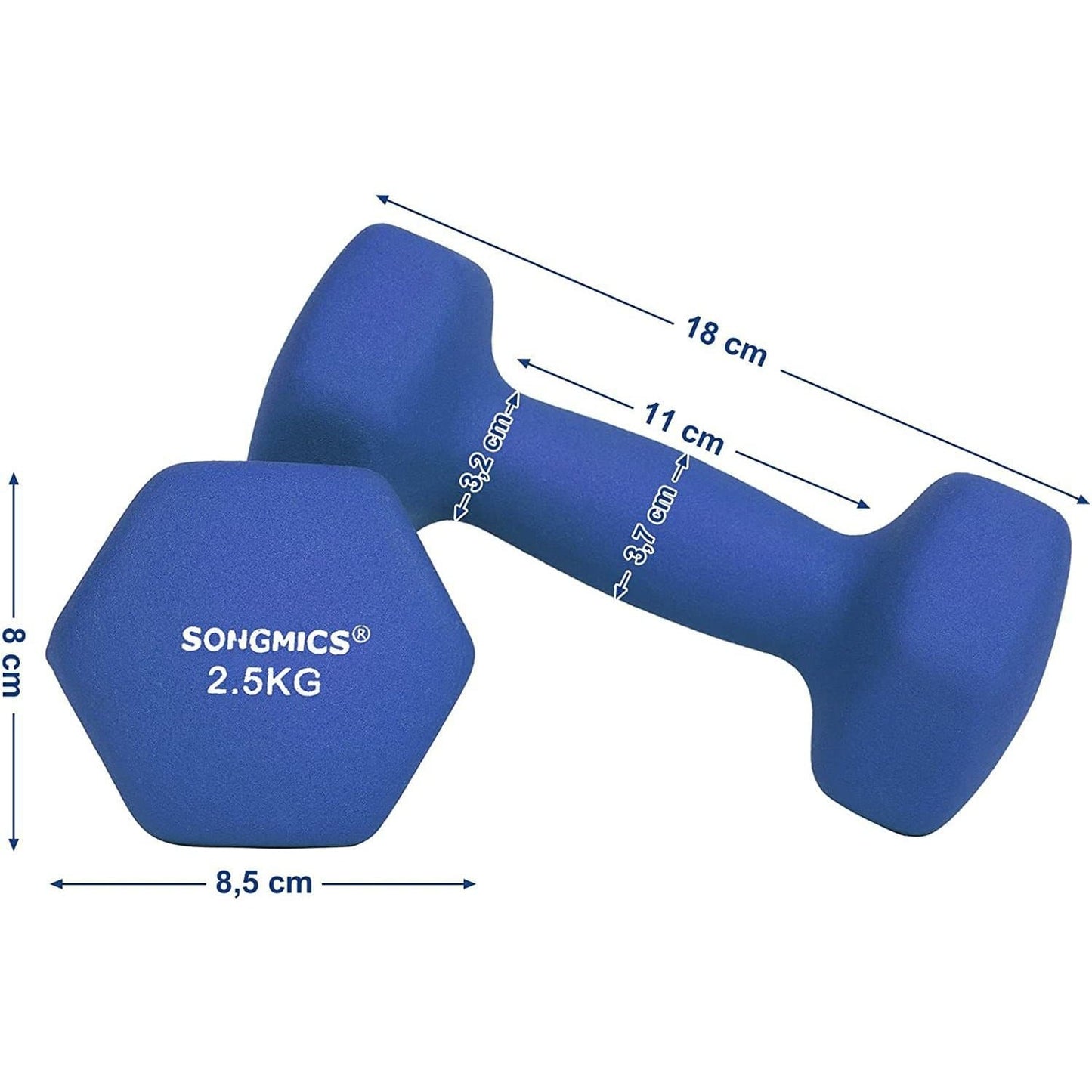 Nancy's Dumbbells Set - 2.5 kg per Dumbell - Blauwe Dumbells - Gewichten en Halters - 2 Stuks